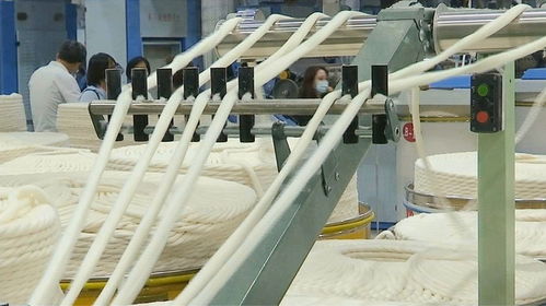走进新疆伊宁县纺织织造产业园 台湾青年看到工人灿烂笑容